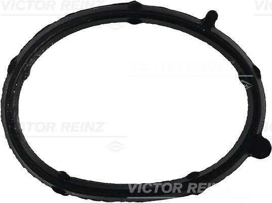 Victor Reinz 713568100