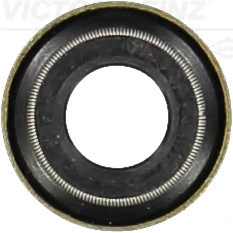 Victor Reinz 702449110
