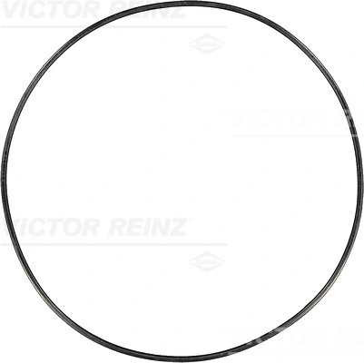 VICTOR REINZ 713769100