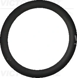 Victor Reinz 407632510