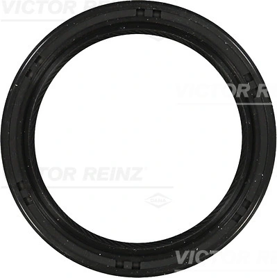 Victor Reinz 815327700