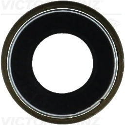Victor Reinz 704254600