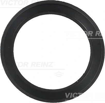 Victor Reinz 713606100