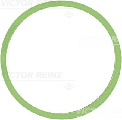 Victor Reinz 714053100