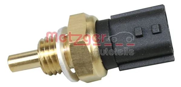 Metzger 0905269