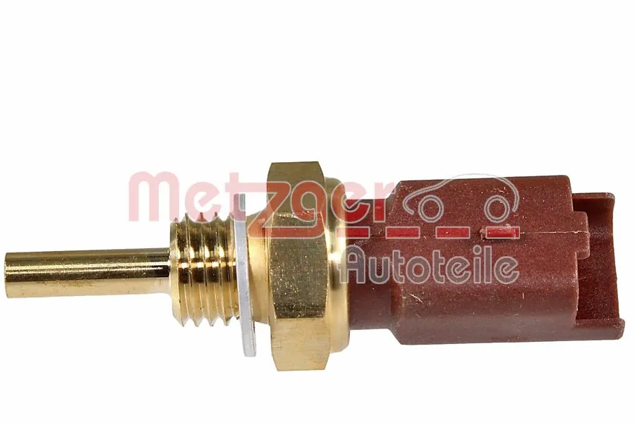 Metzger 0905094