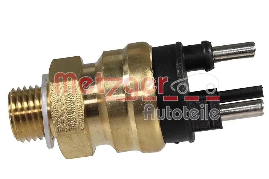Metzger 0905100