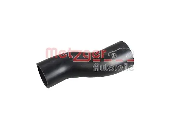 Metzger 2152007