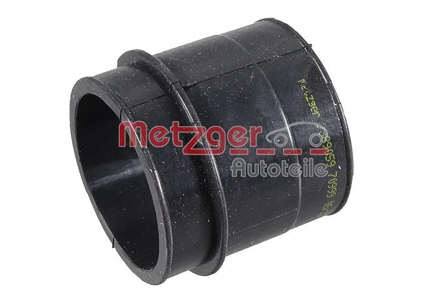 Metzger 2389059
