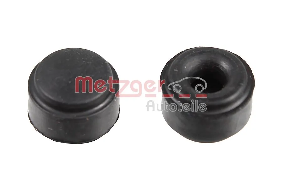 Metzger 0125