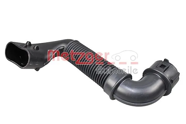 Metzger 2388076