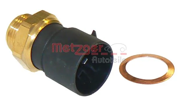 Metzger 0915060