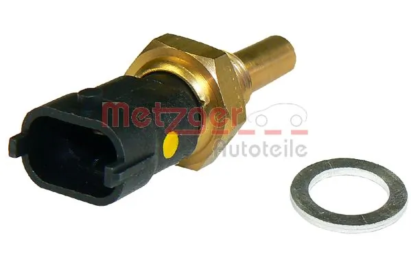 Metzger 0905132