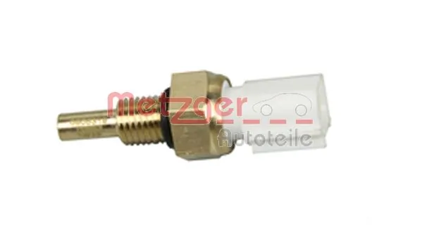 Metzger 0905319