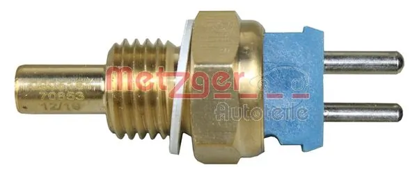 Metzger 0905161