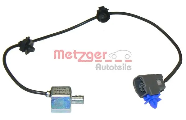 Metzger 0907019