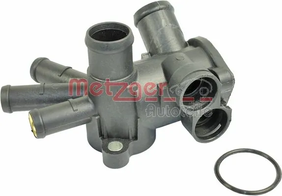 Metzger 4010019