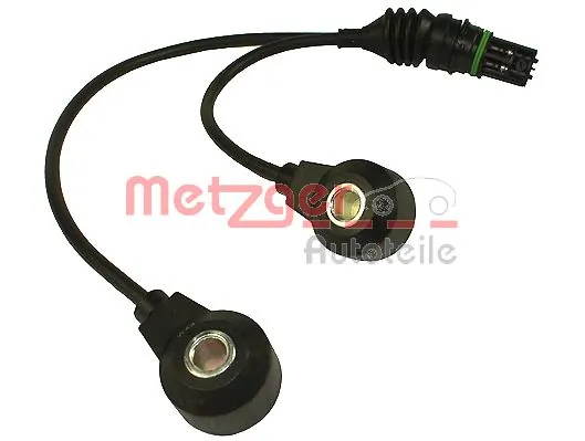 Metzger 0907092