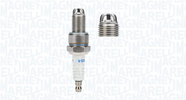 Magneti Marelli 062709000025