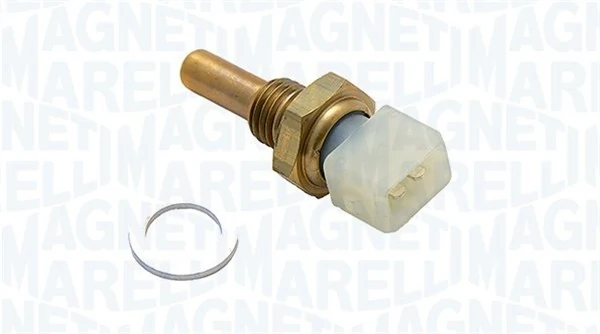 Magneti Marelli 171916011310